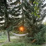 Charming Close To And Forest *