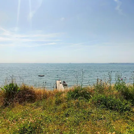 Charming Close To And Forest Venemose