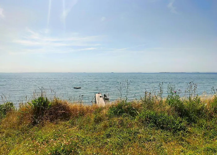 Charming Close To And Forest Slagelse