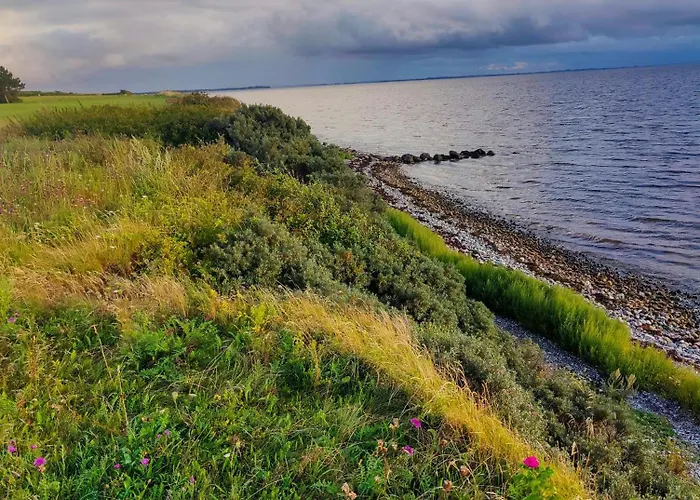 Charming Close To And Forest